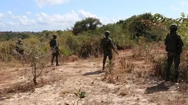 Governador%20de%20Nampula%20confirma%20inimigos%20abatidos%20e%20fuga%20rumo%20a%20Cabo%20Delgado.jpeg