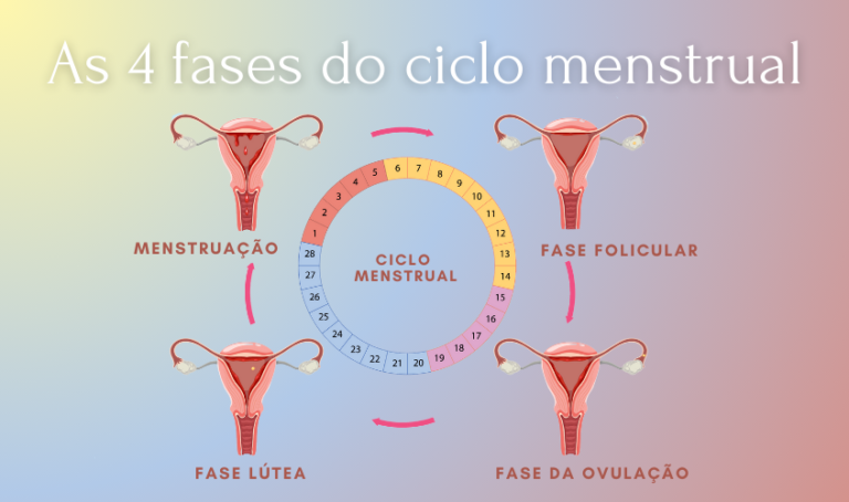 as-4-fases-do-ciclo-menstrual