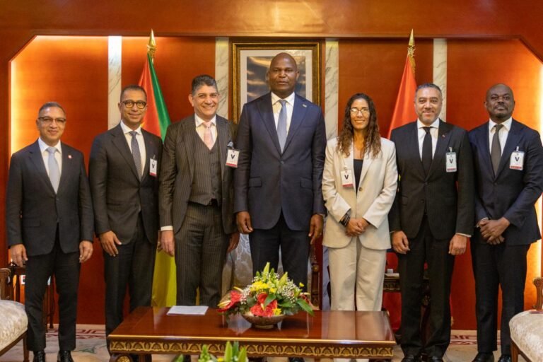 Presidente da República reúne-se, em Maputo, com o CEO da Vodacom Group5 (1)